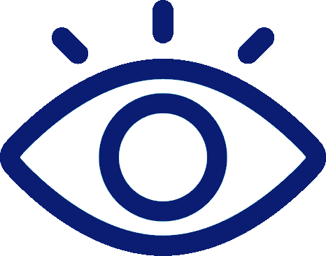 icone vision - Thierry Pivert PRO Web